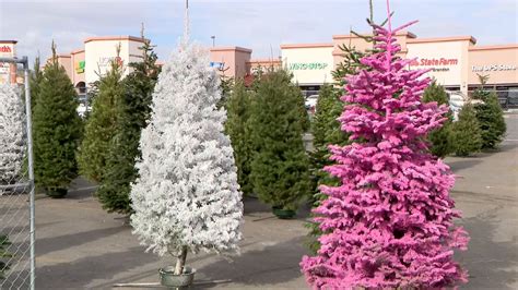 Las Vegas Christmas tree sellers see business booming during holidays