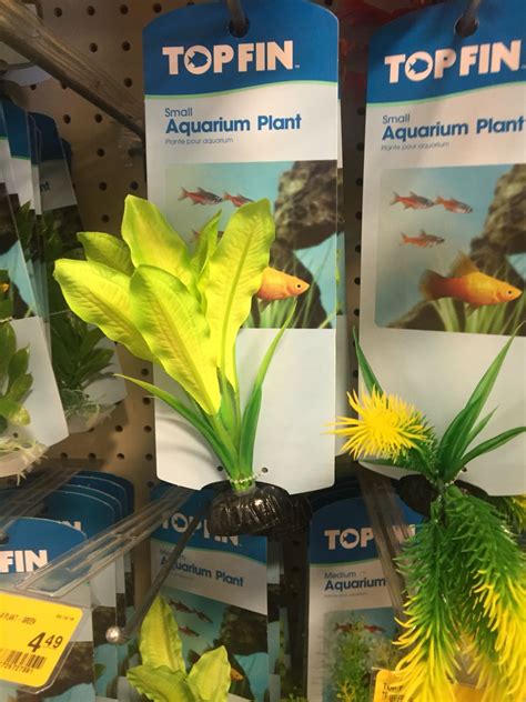 Decor Petsmart | Fish tank decorations, Planted aquarium, Fish tank