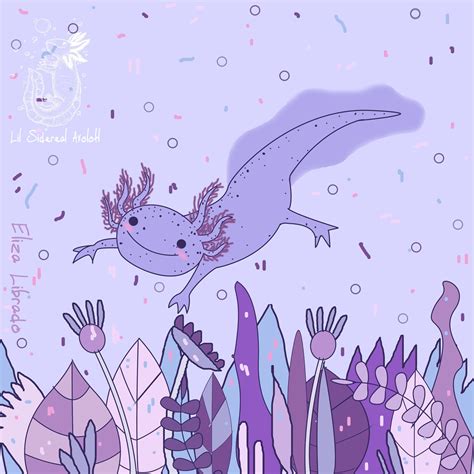 Baby Axolotl Wallpaper