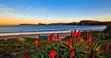 Umina beach - Central Coast, NSW Cool Countries, Countries Of The World, The Beautiful Country ...