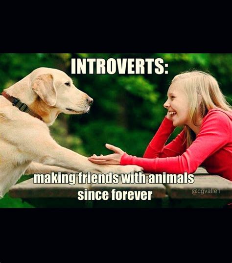 Pin on Introvert by Nature