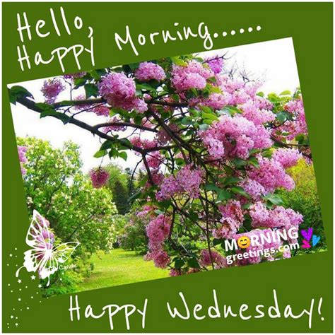 50 Good Morning Happy Wednesday Images - Morning Greetings – Morning ...