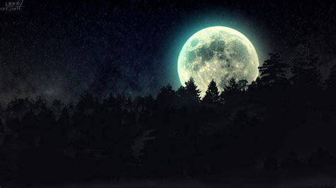 night, Moon, Forest, Stars Wallpapers HD / Desktop and Mobile Backgrounds