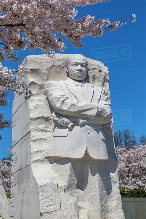 View of the Martin Luther King Jr. Memorial and cherry blossom trees in spring, Washington D.C ...