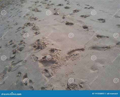 Ashdod beach stock image. Image of wadi, winter, rock - 191058803