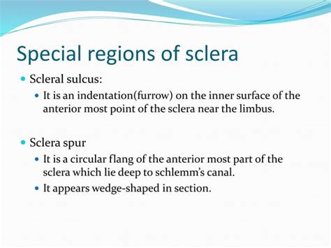 Sclera | PPT