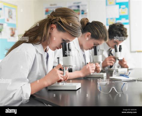 High school students using microscopes in classroom Stock Photo - Alamy