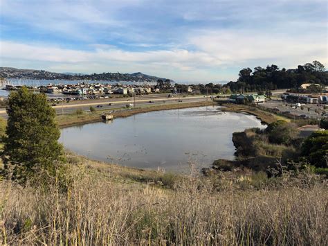 Marin City projects aim to prevent flooding, create park