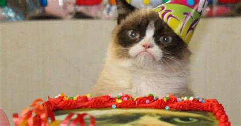 Happy Birthday, Grumpy Cat! (PICTURES)