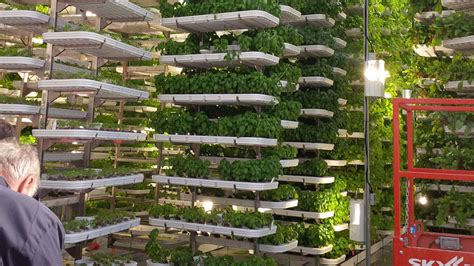 Hydroponics Indoor Farming - What You Need to Know? - Urban Farm Online