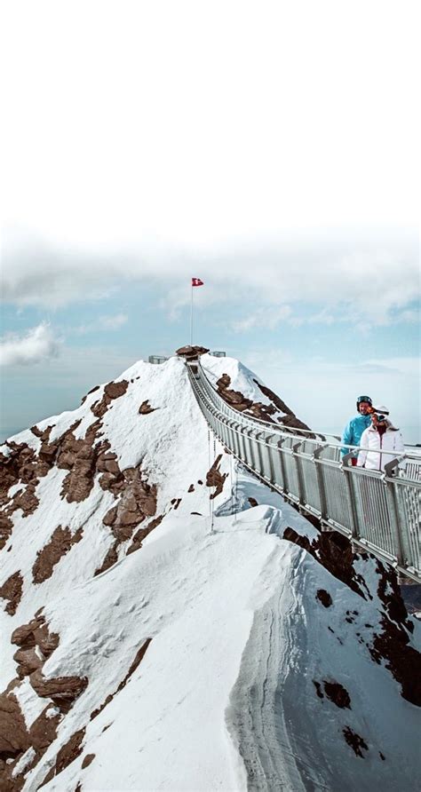 The Peak Walk, Swiss Alps | Click and Read More | Swiss alps, Alps, Travel