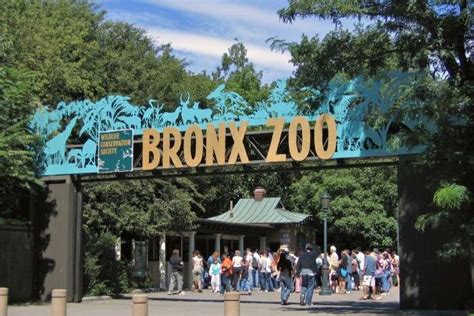 10 Zoos In New York Every Traveler Can Visit With Their Kids For A Fun ...