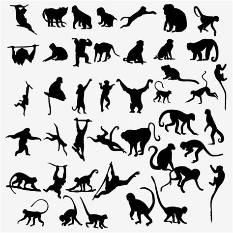 Monkey Silhouette Vector Black And White Line Art Stencil | Silhouette ...