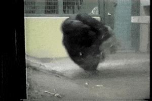 Gorilla Dancing GIFs - Find & Share on GIPHY