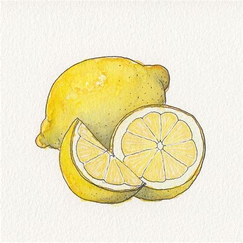 Pin on Lemon | Lemon drawing, Lemon watercolor, Lemon art