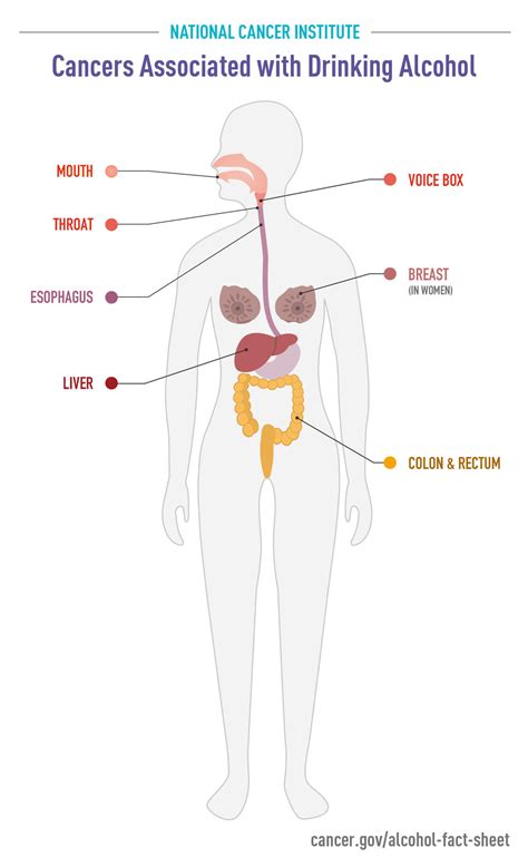 Alcohol and Cancer Risk Fact Sheet - NCI