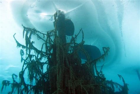 Lake Kaindy: Kazakhstan's Submerged Forest