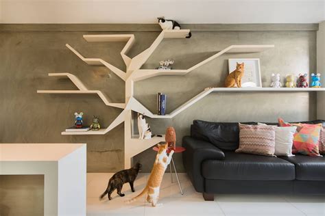 Sete gatos em 50m² salas de estar modernas por homify moderno (com imagens) | Prateleiras para ...