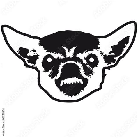 "Angry Chihuahua Face" Stock photo and royalty-free images on Fotolia.com - Pic 61224084