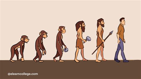 "Wise" Apes! : Human Evolution Anthropology - Elearn College