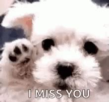 Miss You So Much GIF by memecandy - Find & Share on GIPHY