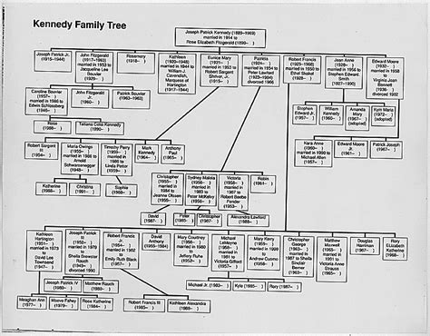 The Kennedy Family Tree | Love of Ireland | Pinterest | Rose kennedy, John fitzgerald and Jackie ...