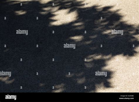 Pinhole camera solar eclipse hi-res stock photography and images - Alamy