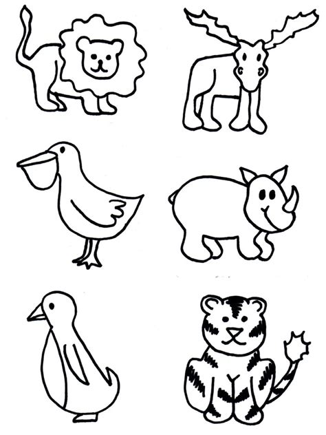 Zoo Animals Easy Drawing For Kids Step By Step Animals : 1300x1297 ...