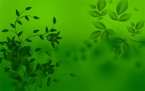 Green Nature Wallpaper