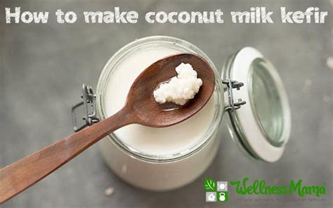 Coconut Milk Kefir Recipe | Wellness Mama