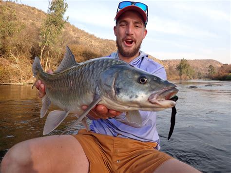 Largemouth Yellowfish Hunting on the Vaal, Potch