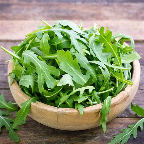 Organic Arugula Seeds - 5 Lb Bulk - Leafy Green Salad Garden Seeds ...