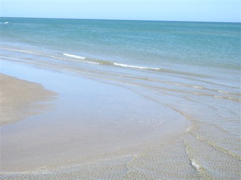 Things To Do - Padre Island National Seashore (U.S. National Park Service)