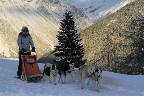 Husky dog sleigh ride just outside Livigno. Most amazing thing ever! Dog Sleigh, Sleigh Ride ...