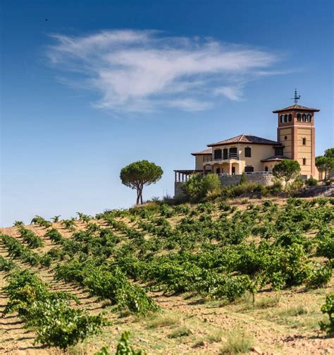 Top Spanish wine regions to visit in 2024 | Winetourism.com