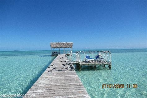 Reviews for Starfish Cayo Guillermo, Cayo Coco, Cuba | Monarc.ca ...