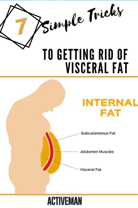 Visceral Fat: 7 Tricks to Get Rid of It Fast! — ActiveMan | Visceral fat exercises, Visceral fat ...