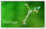 FDA Classifies CollPlant Wound Dressing Sheets as a Medical Device-Collagen Made From Tobacco ...