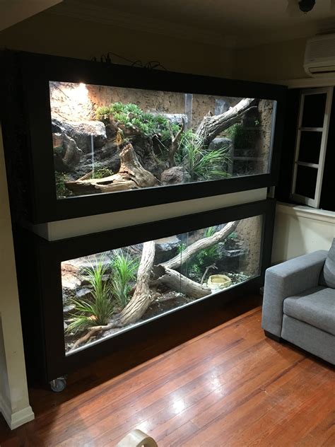 Pin by Jacob rodey on aquarium/vivarium | Reptile terrarium, Reptile enclosure, Reptiles pet