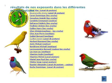 (PPT) Bizet Max (canari de posture) Bournonville Jimmy (canari de ...