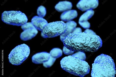 Bacteria Bordetella pertussis isolated on black background, 3D illustration. Gram-negative ...