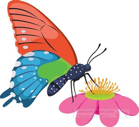 Flower Clipart-blue red green butterfly on flower clipart