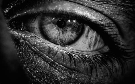 Eye Pupil Black and White | WallpapersWebs | Old soul, Black and white ...