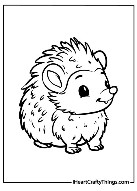 Free Hedgehog Coloring Pages