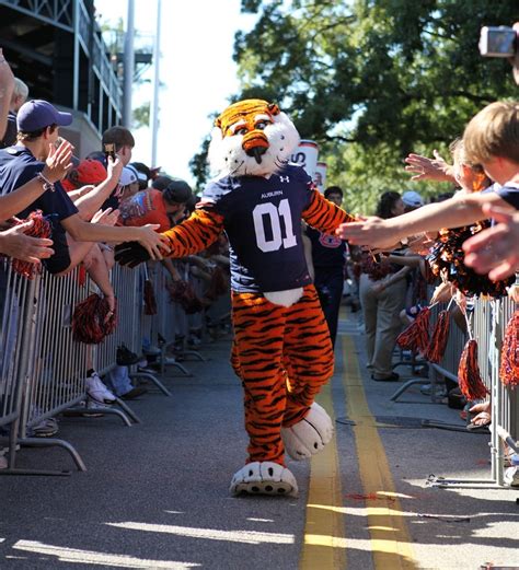 Auburn-Opelika: Aubie Wins 7th National Championship | Auburn alabama ...