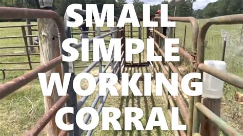 Small Simple Working Corral for Cattle #grassfed #beef #cows - YouTube