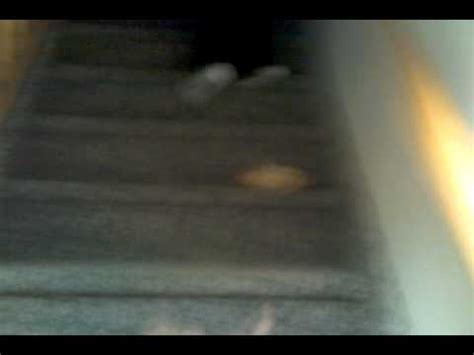 baby falling down stairs - YouTube