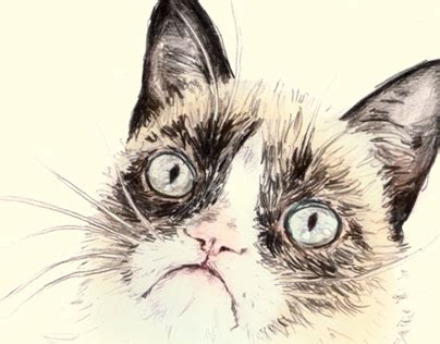 Tardar Sauce the Grumpy Cat on Behance