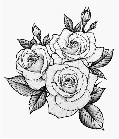 u00bfCu00f3mo dibujar una rosa paso a paso?