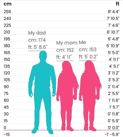 I did a height chart of my family for fun : r/short